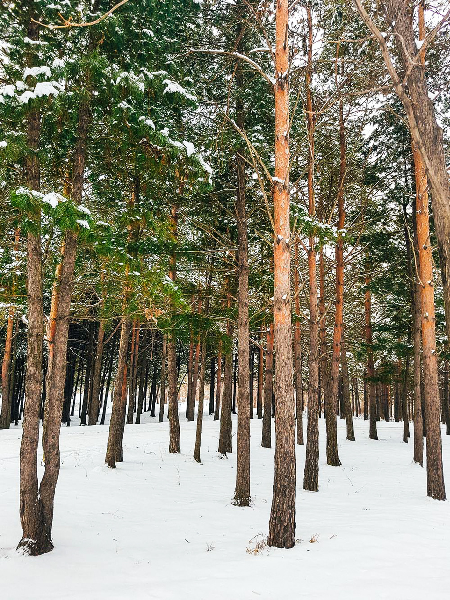 Горнолыжный отдых в Арсеньеве