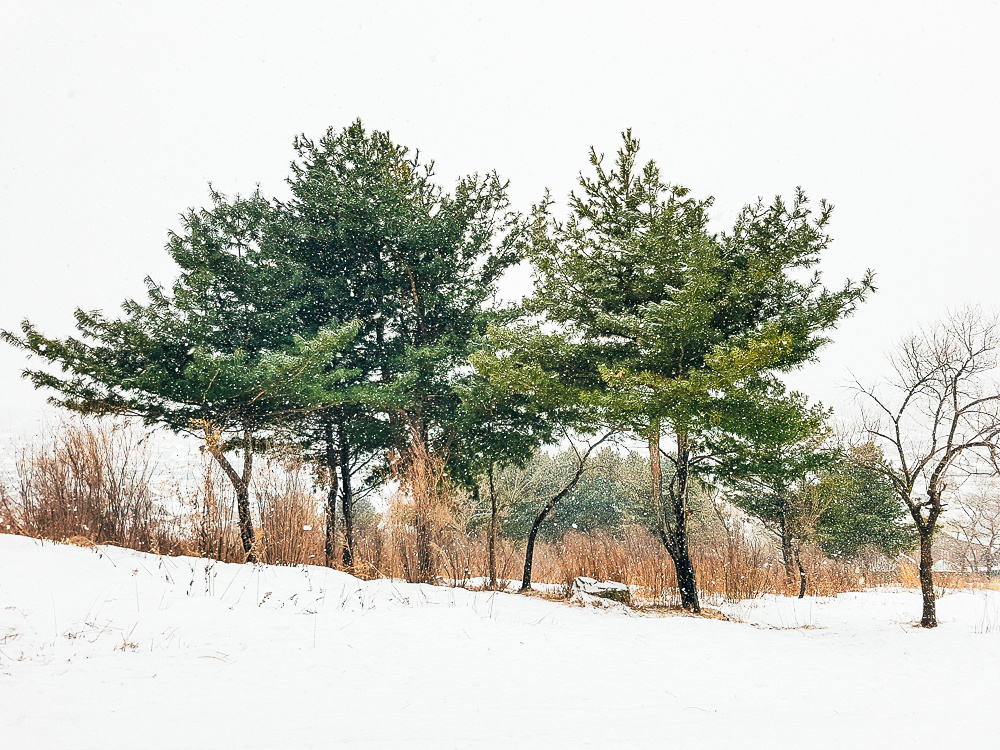 Отдых в Арсеньеве на каникулах