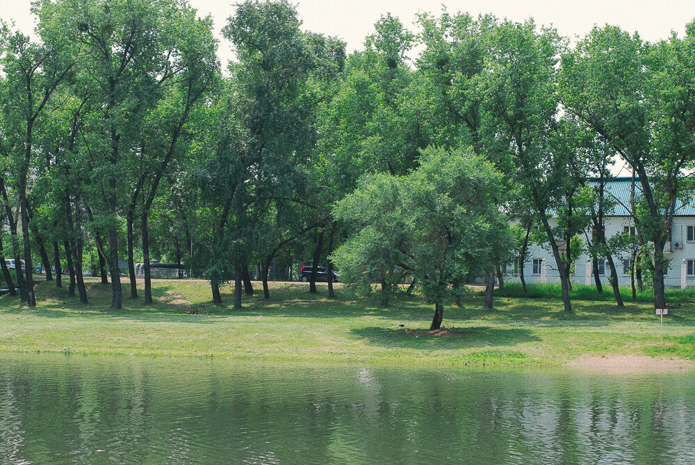 Река в черте города Арсеньев