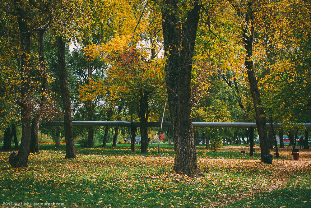 Осенний парк Арсеньева