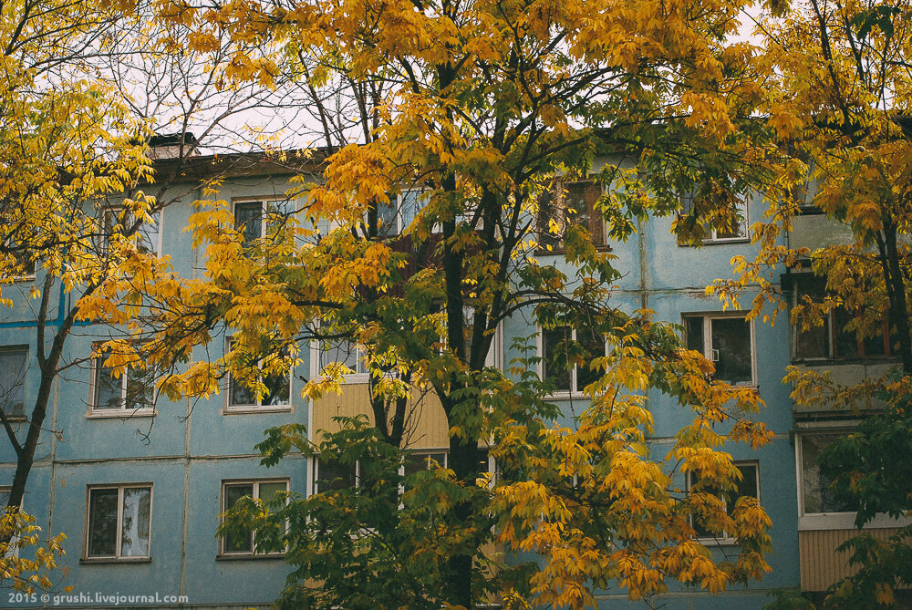 арсеньев осенняя сказка