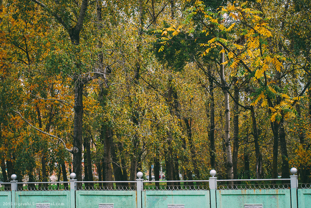 осенняя прогулка по Приморью