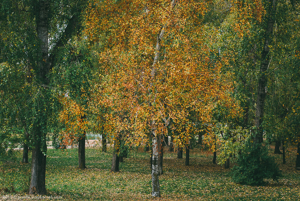 город Арсеньев осенний