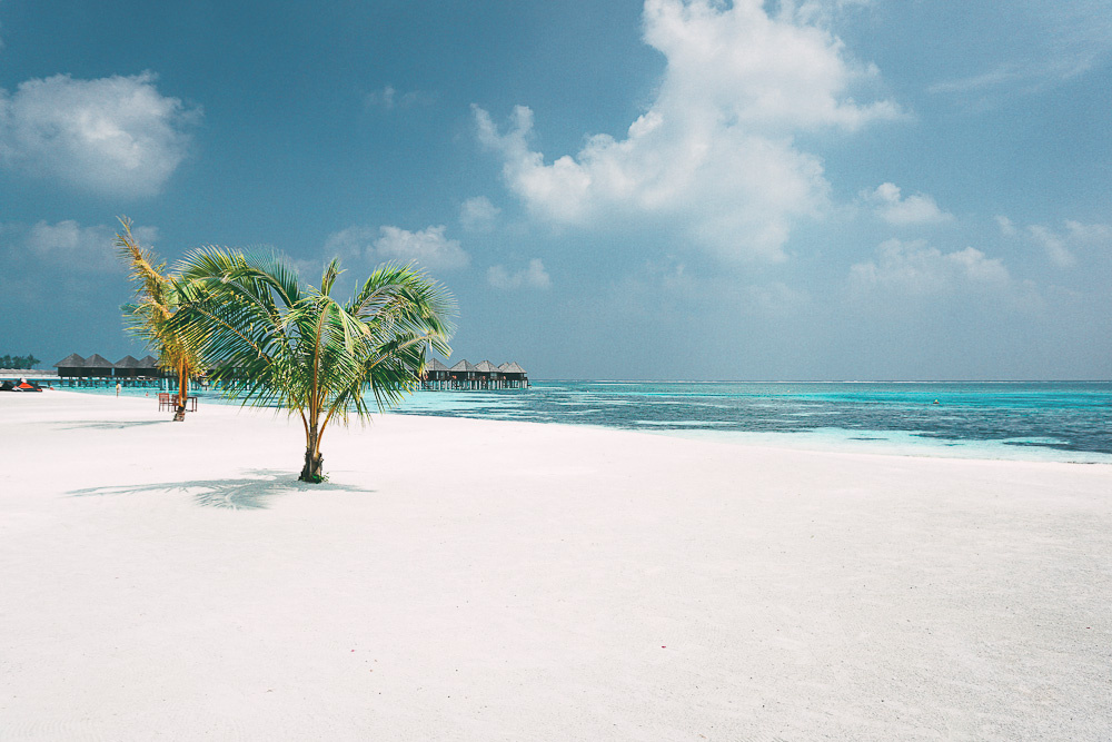 Olhuveli Beach Resort & Spa