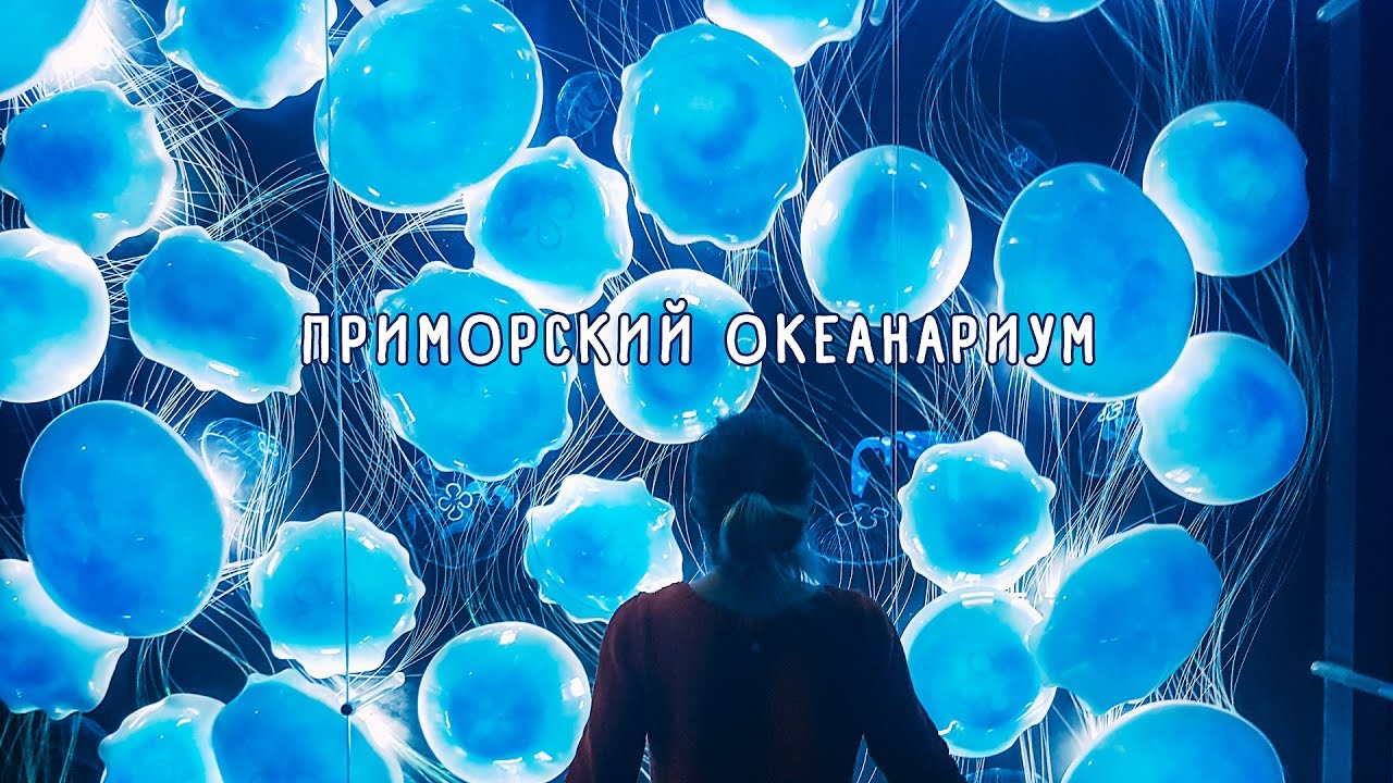 Приморский океанариум во Владивостоке