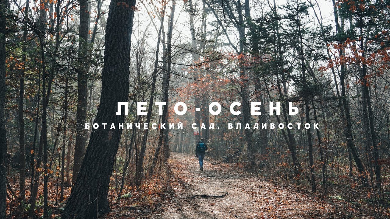 Лето-осень: 25 тепла в ноябре