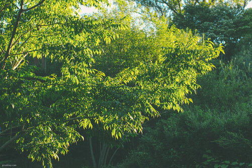 Бухта Витязь деревня