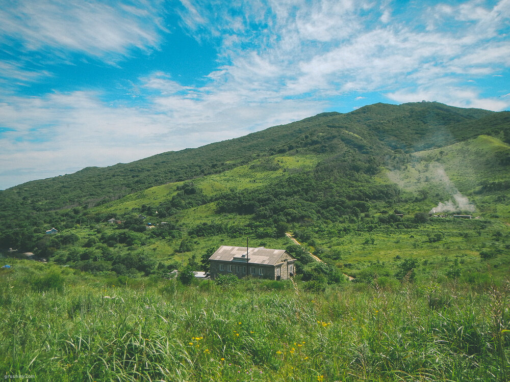Мыс Шульца грибы