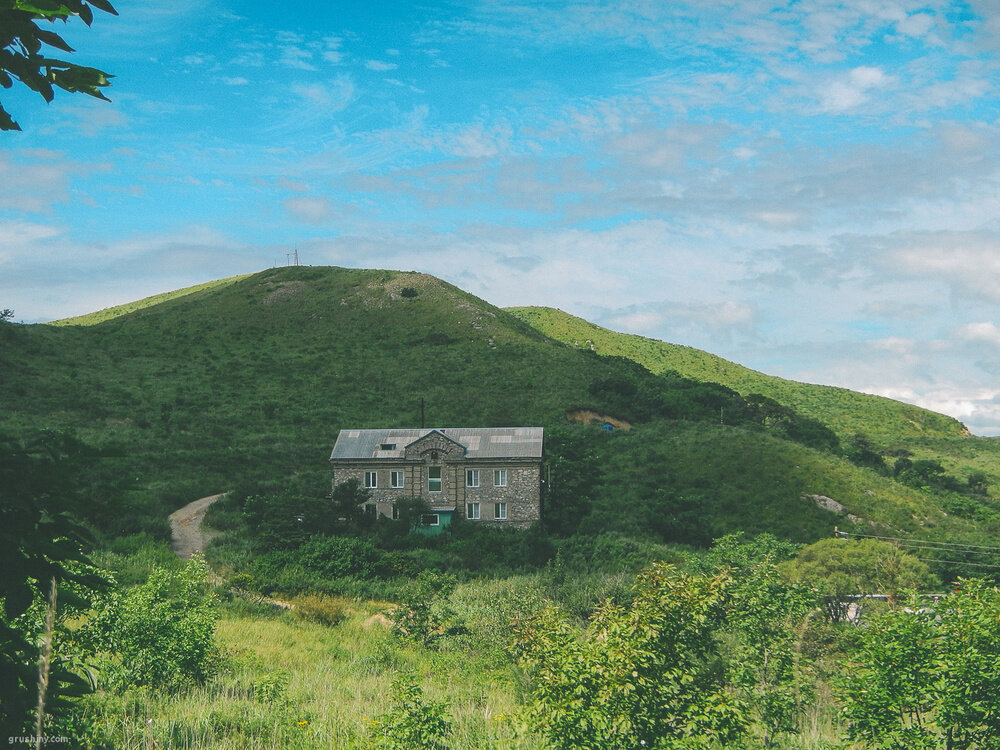 Мыс Шульца природа