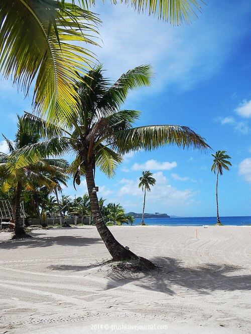 Посетители в баре Beach