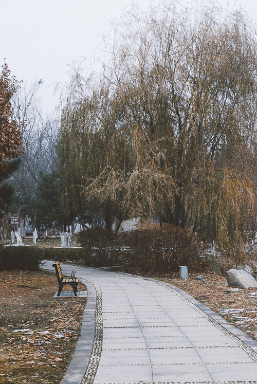 Аллеи парка