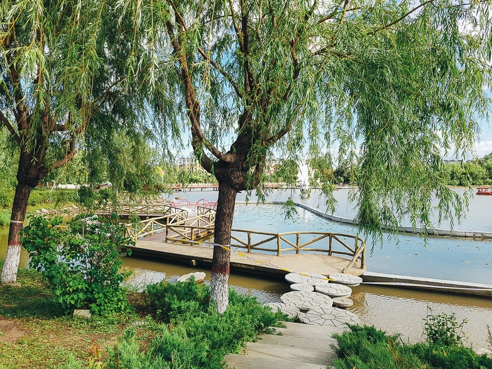 Красивые виды парка