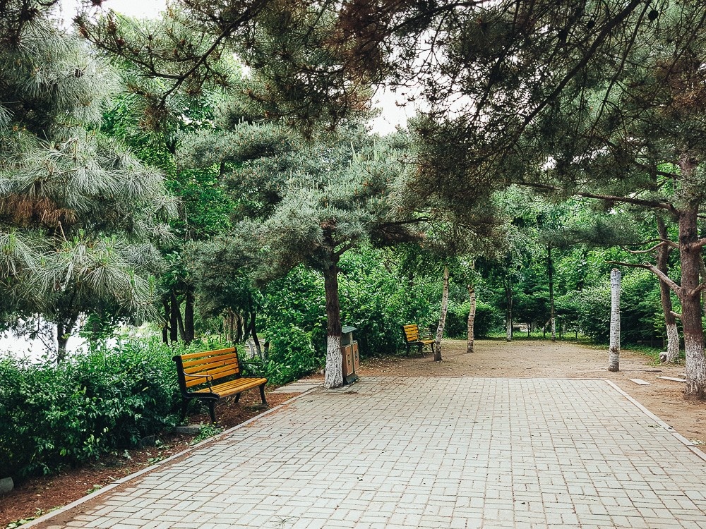 Свежий воздух в парке