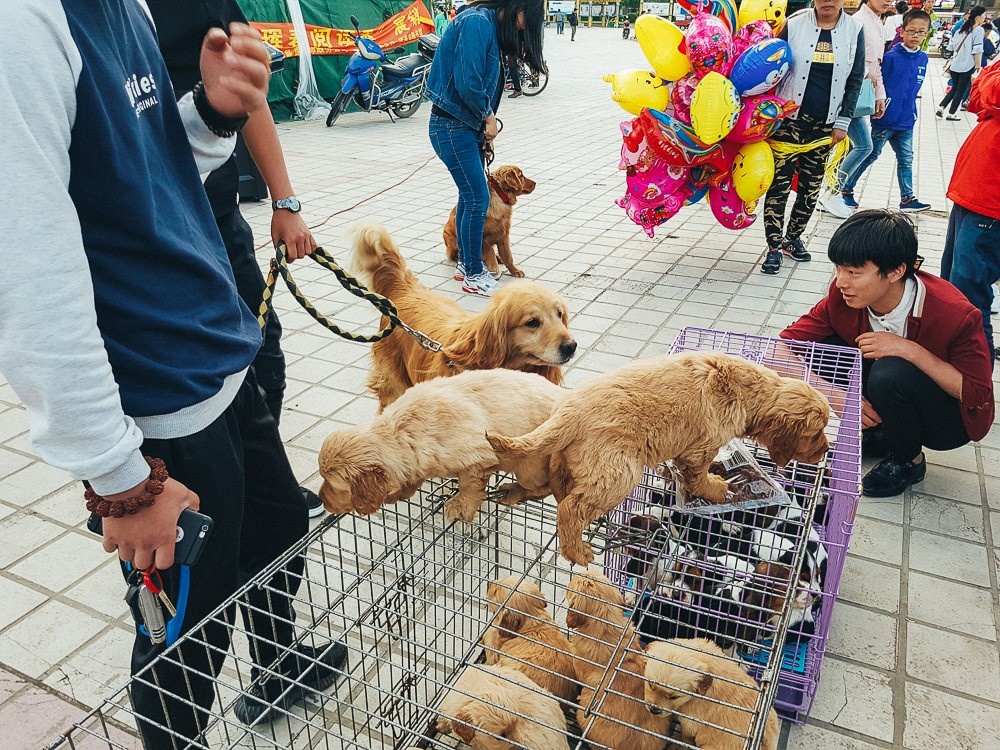 Народные танцы в Китае