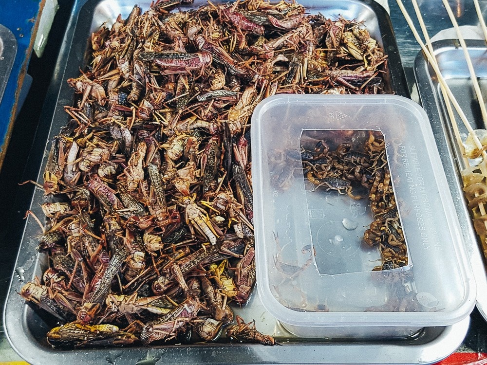 Кулинарные впечатления Хуньчуня