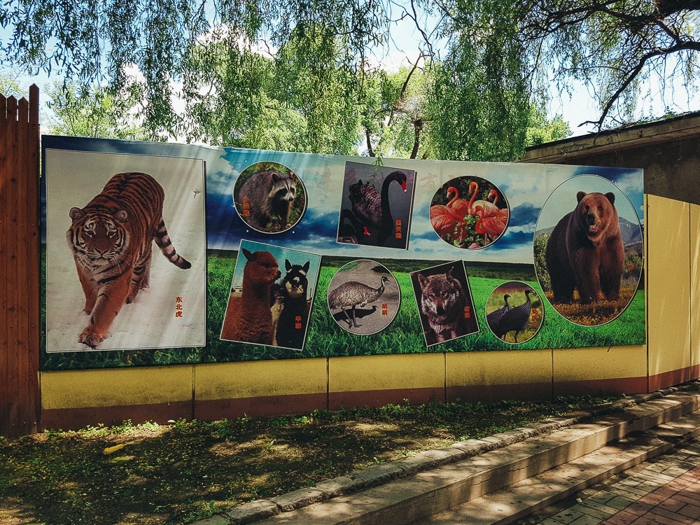 Зоопарк Яньцзы - вход и билетные кассы