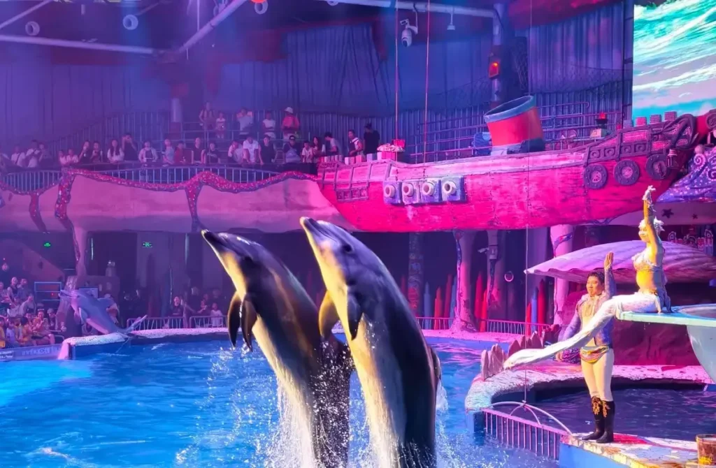 Океанариум Sun Asia Ocean World в Даляне