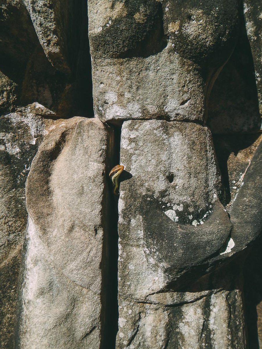 Древние руины в джунглях