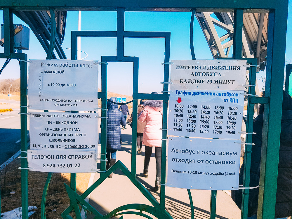Парковка и подъезд к Приморскому океанариуму