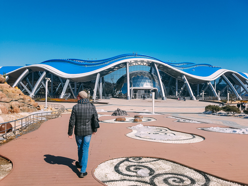 Космические фонари на территории Приморского океанариума