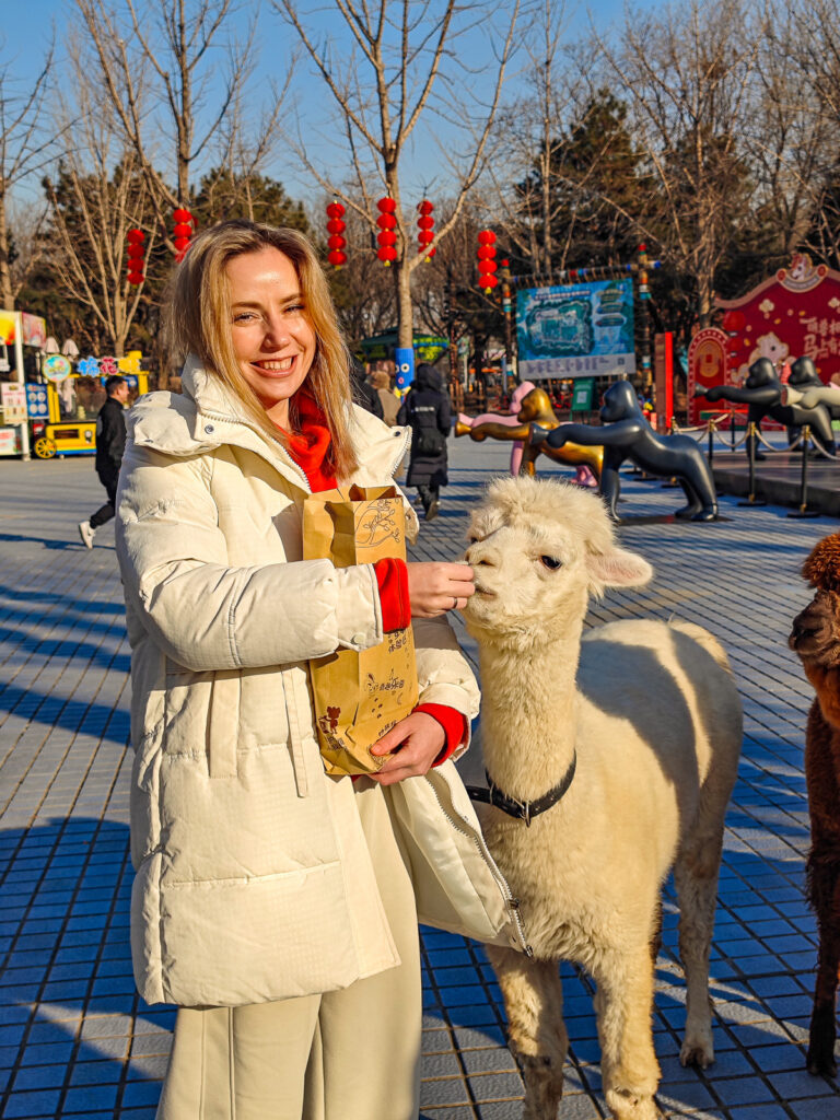 Медведи в сафари-парке в Дасине