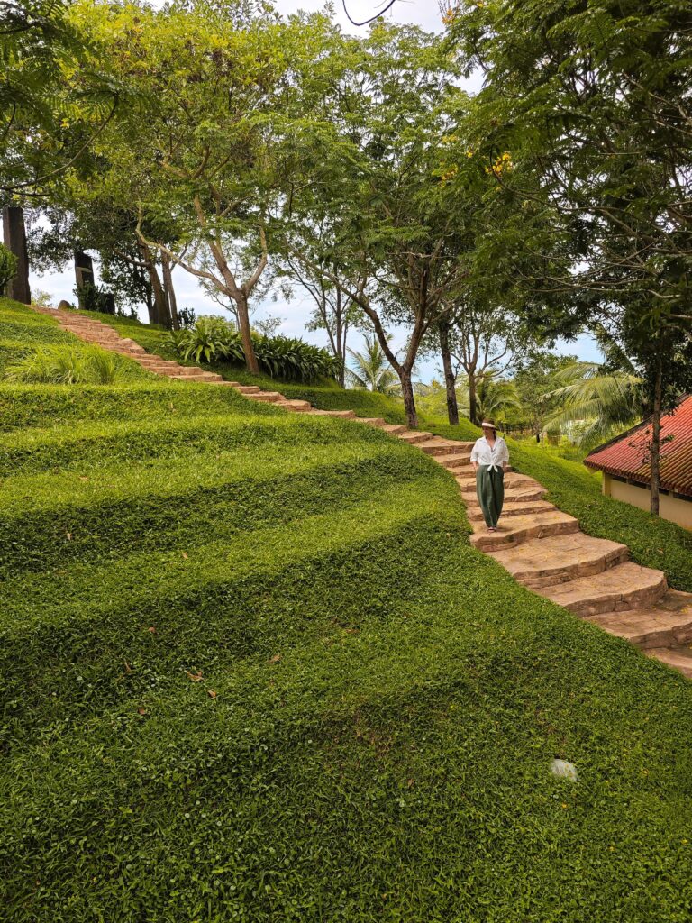 Фламинго в VinWonders Nam Hoi An