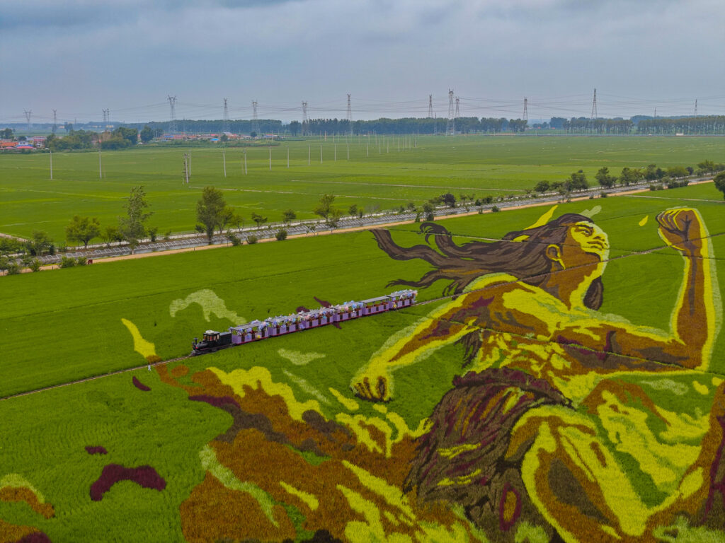 Прогулка на поезде в парке Rice Dream Space