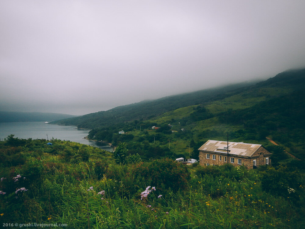 Дикая природа Приморского края