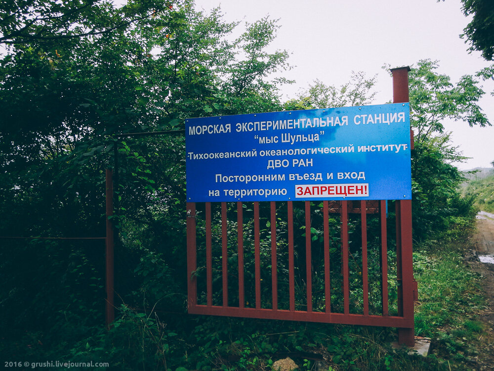 Дорога к мысу Шульца