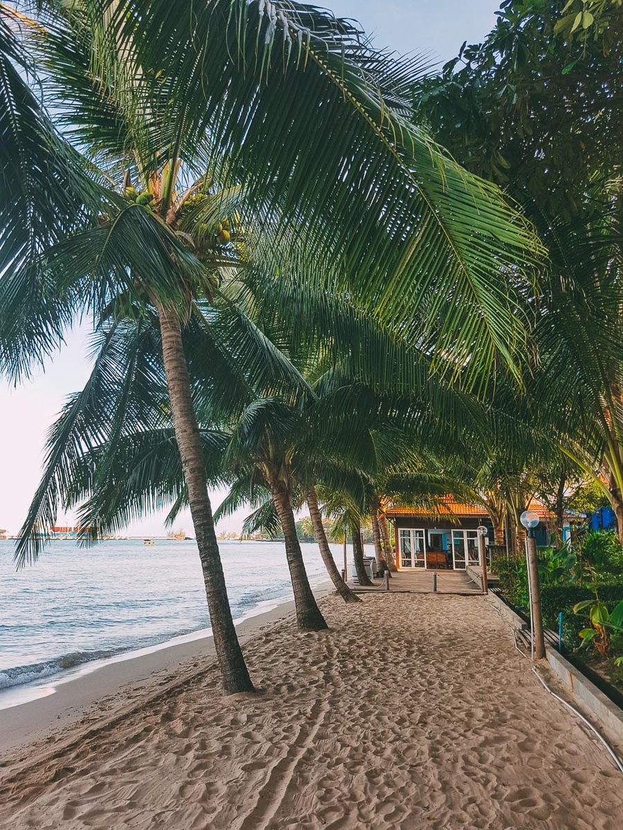 Грязный пляж Victory Beach