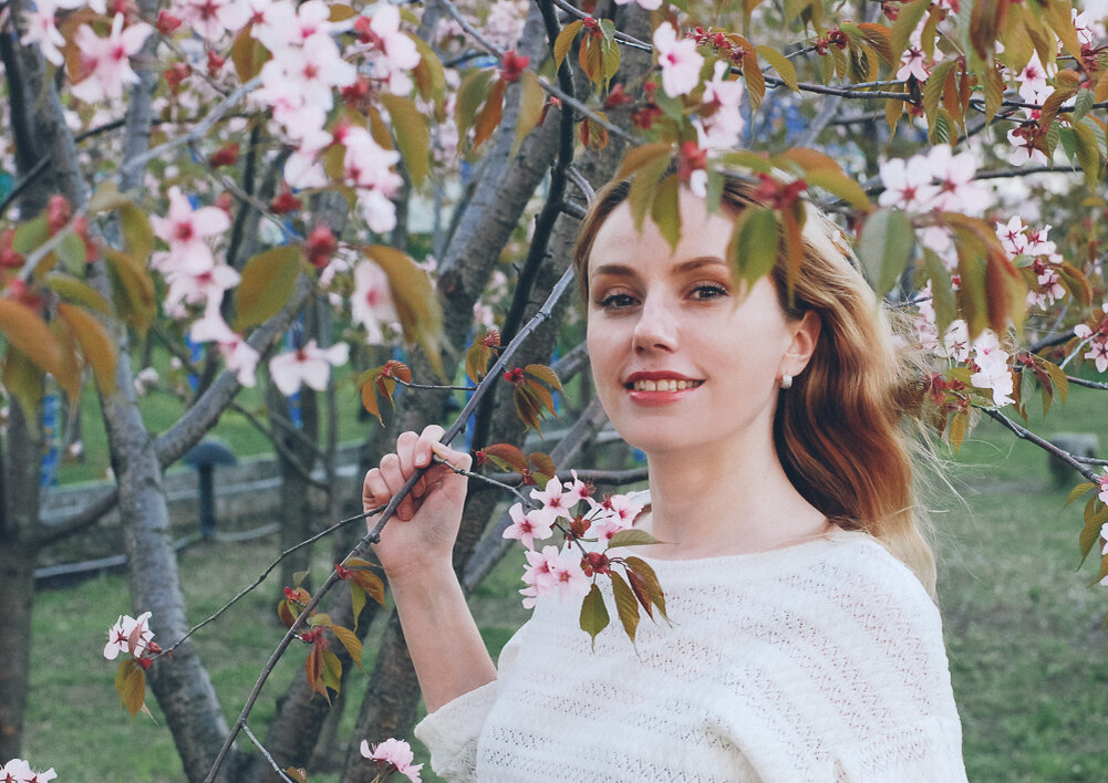 Лепестки сакуры на фоне неба