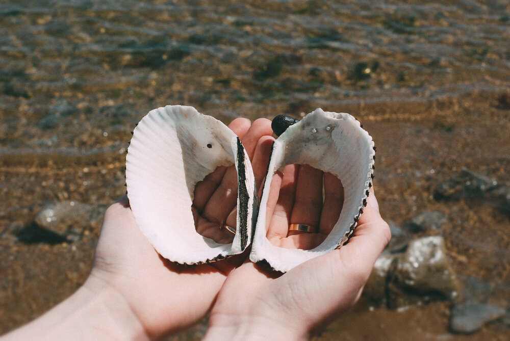 Пейзажи морского побережья